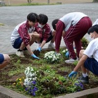 花壇植え替えの準備をしました (5/8)