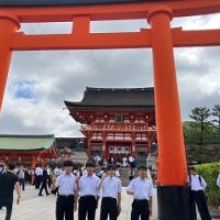 タクシーでの班別学習　順調です (修学旅行 No.5 5/20)