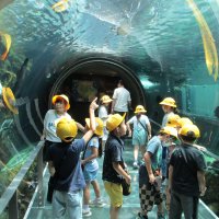 １年～４年がつながった「なかがわ水遊園」遠足