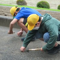 ６年生が除草作業