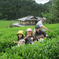 地域のイベントに参加して～親子お茶摘み体験会～