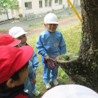 花山探検～１年生～