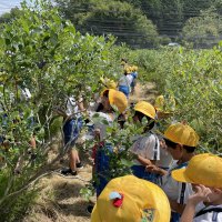 校外学習（3年生）