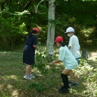 ６月「クリーングラスタイム」