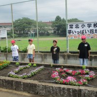 城里町花いっぱい運動コンクール