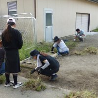 奉仕作業（３・４年生）を実施しました