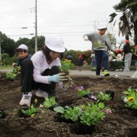 冬花壇づくり